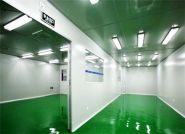 藥廠GMP淨化工(gōng)程廠家